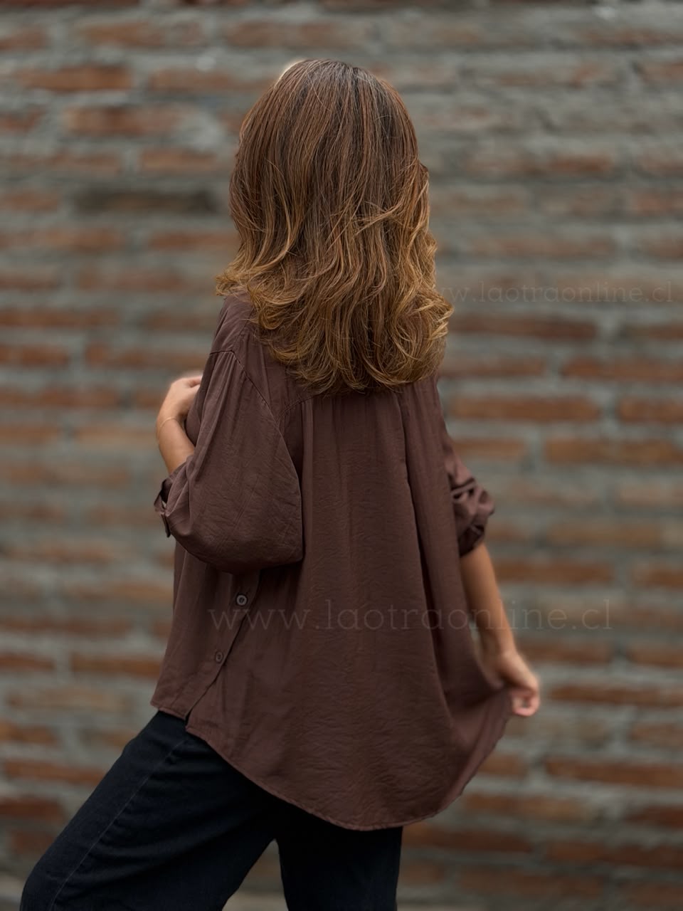 Blusa Clásica marrón