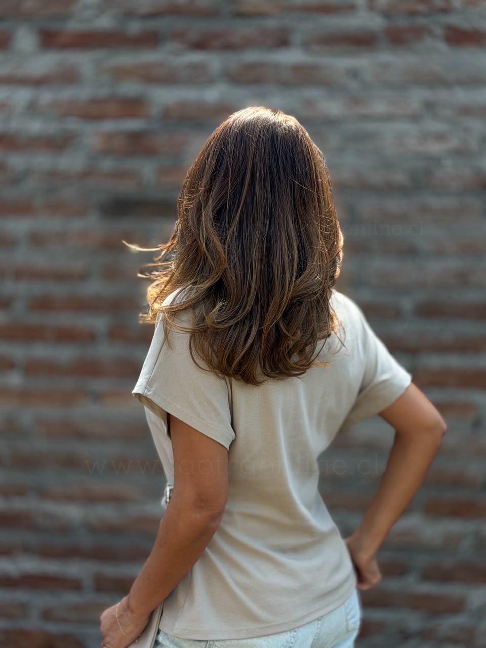 Polera Azalea taupe