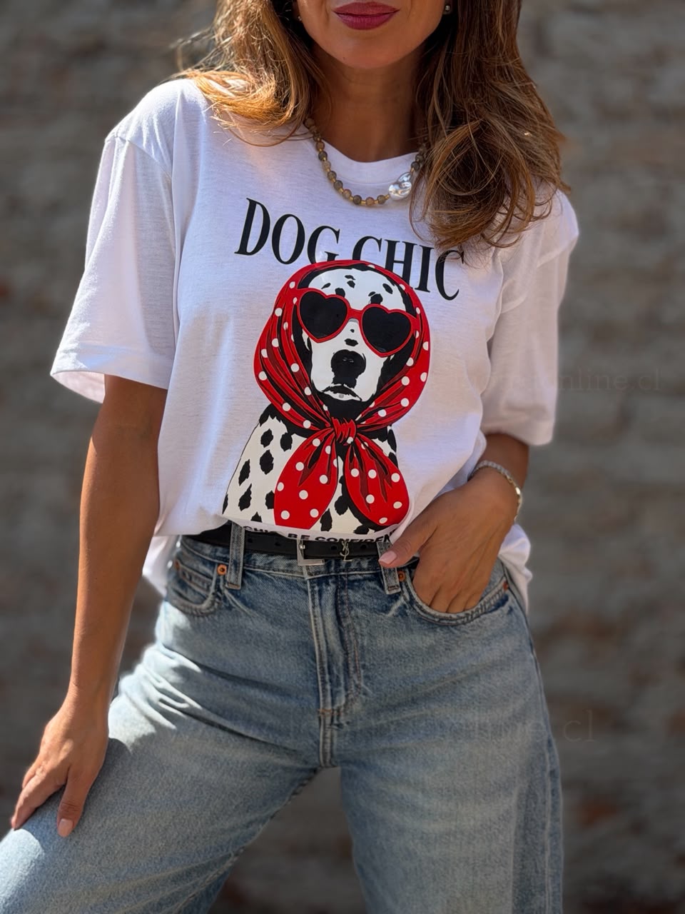 Polera New dog Chic