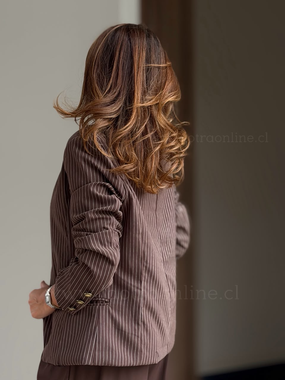 Blazer Salta marron