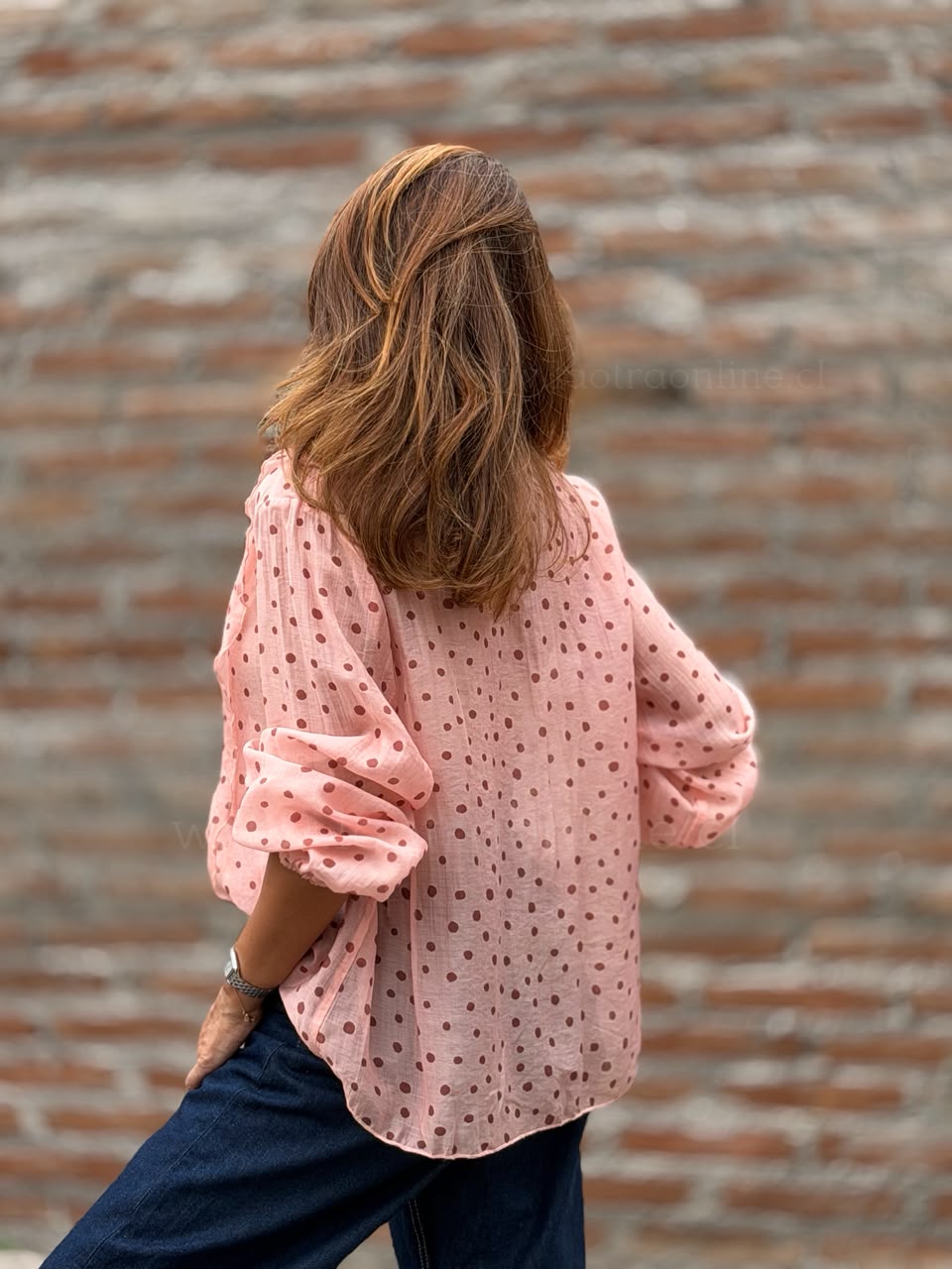 Blusa Vuelos Lunar rosa