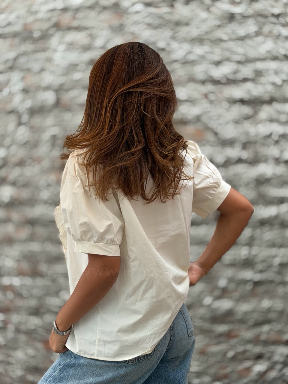 Blusa popelin bordada crema