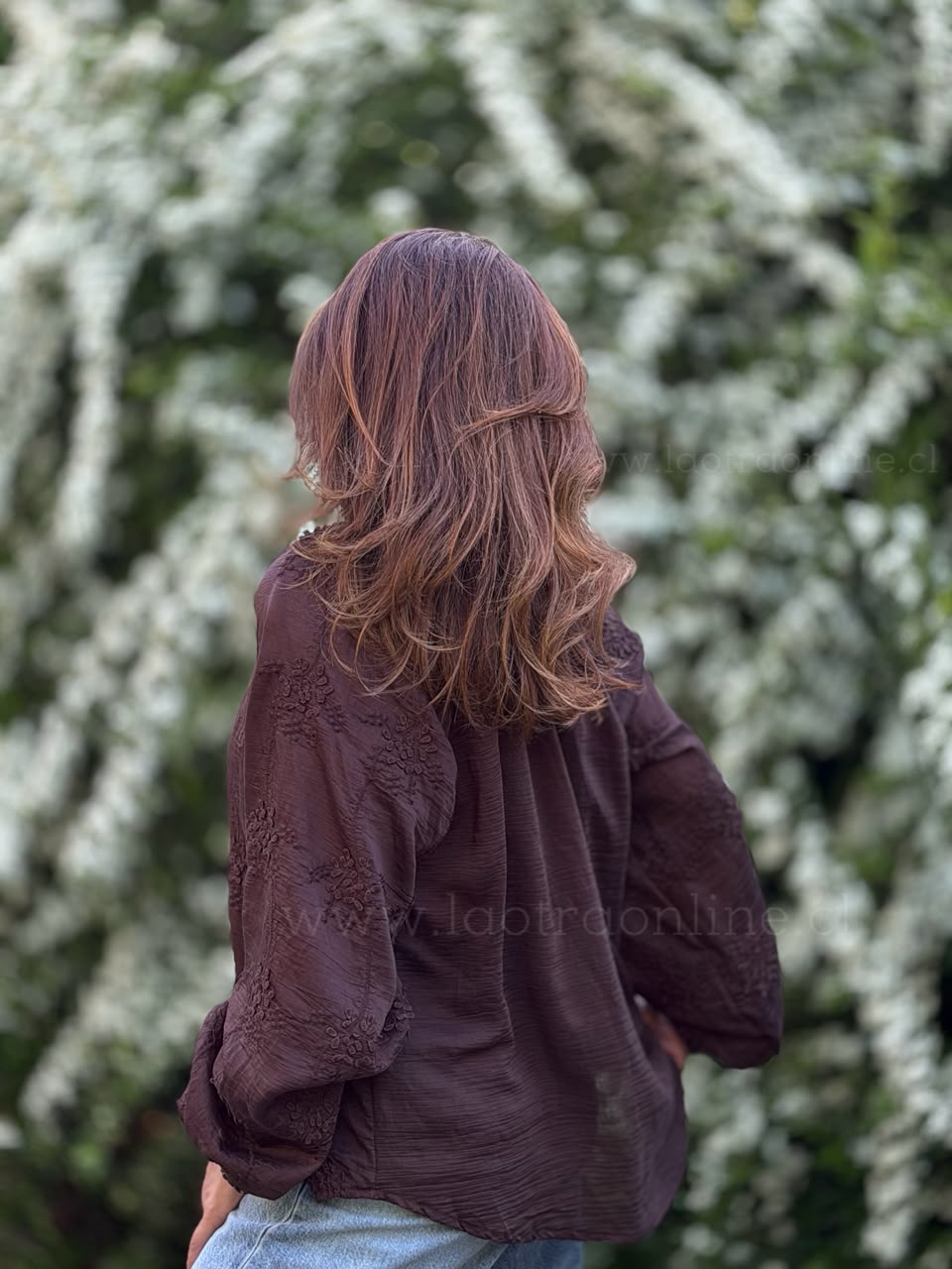 Blusa Delicada marrón