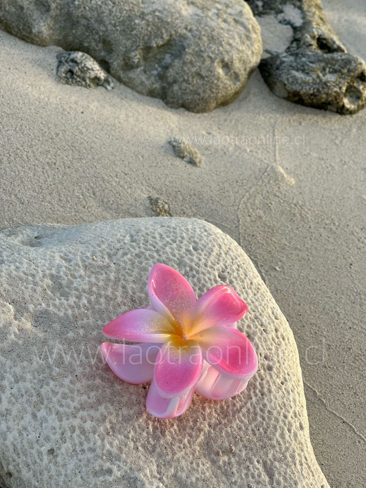 Amarra cabello Flor Hawái rosa
