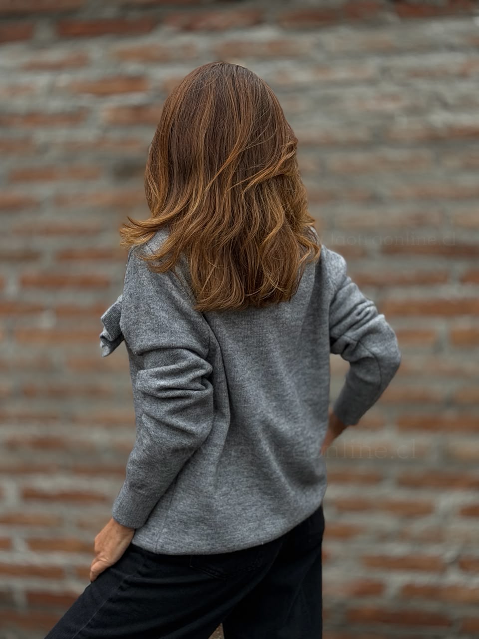 Sweater butterfly gris