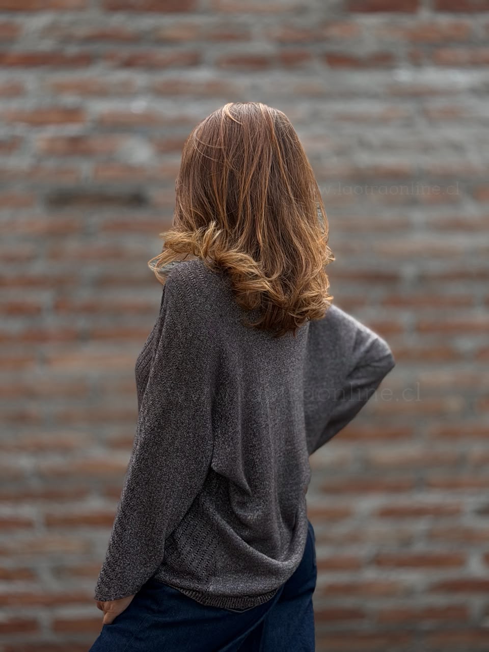 Sweater Nevada marrón/marengo