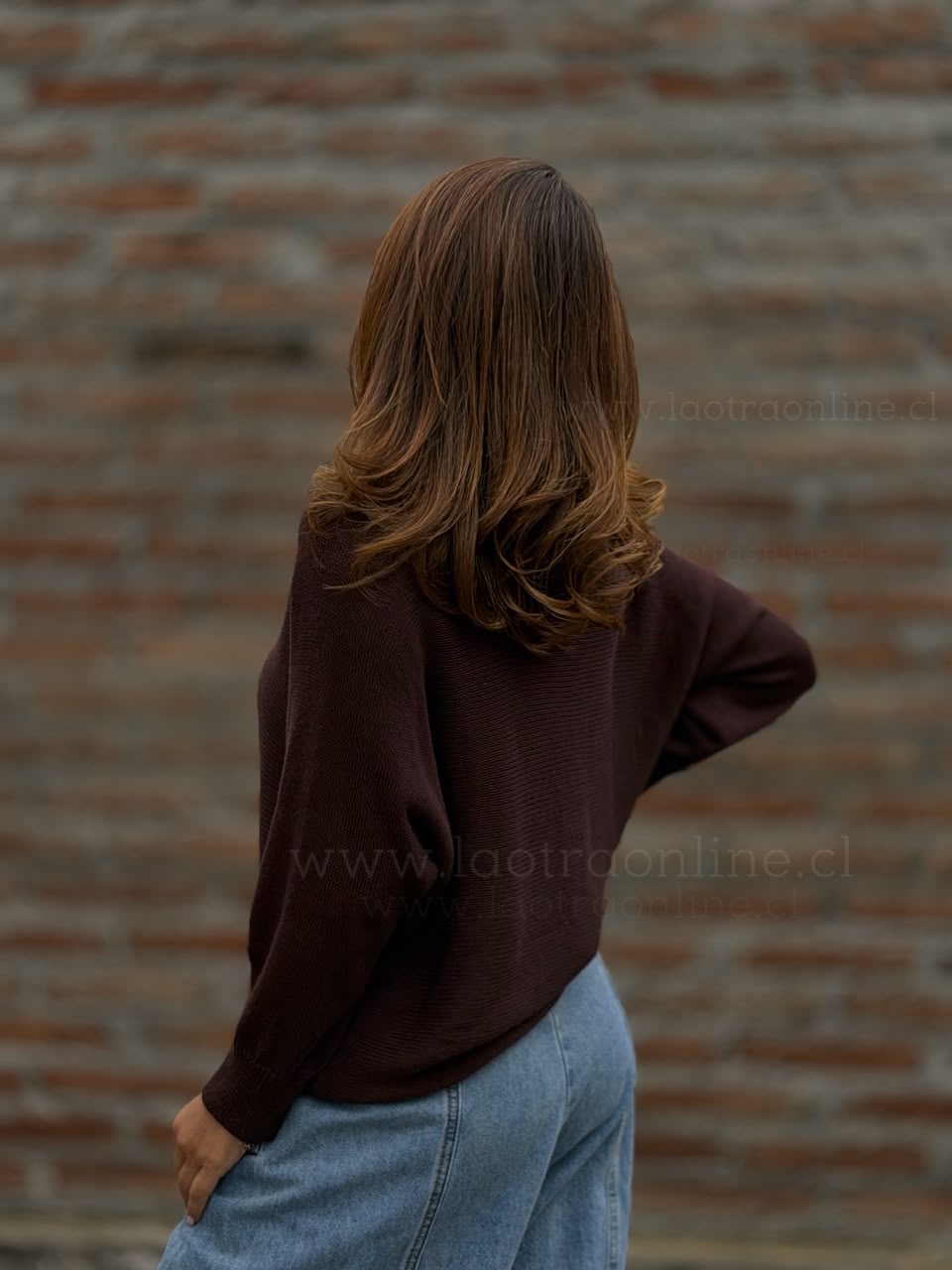 Sweater Playa marrón