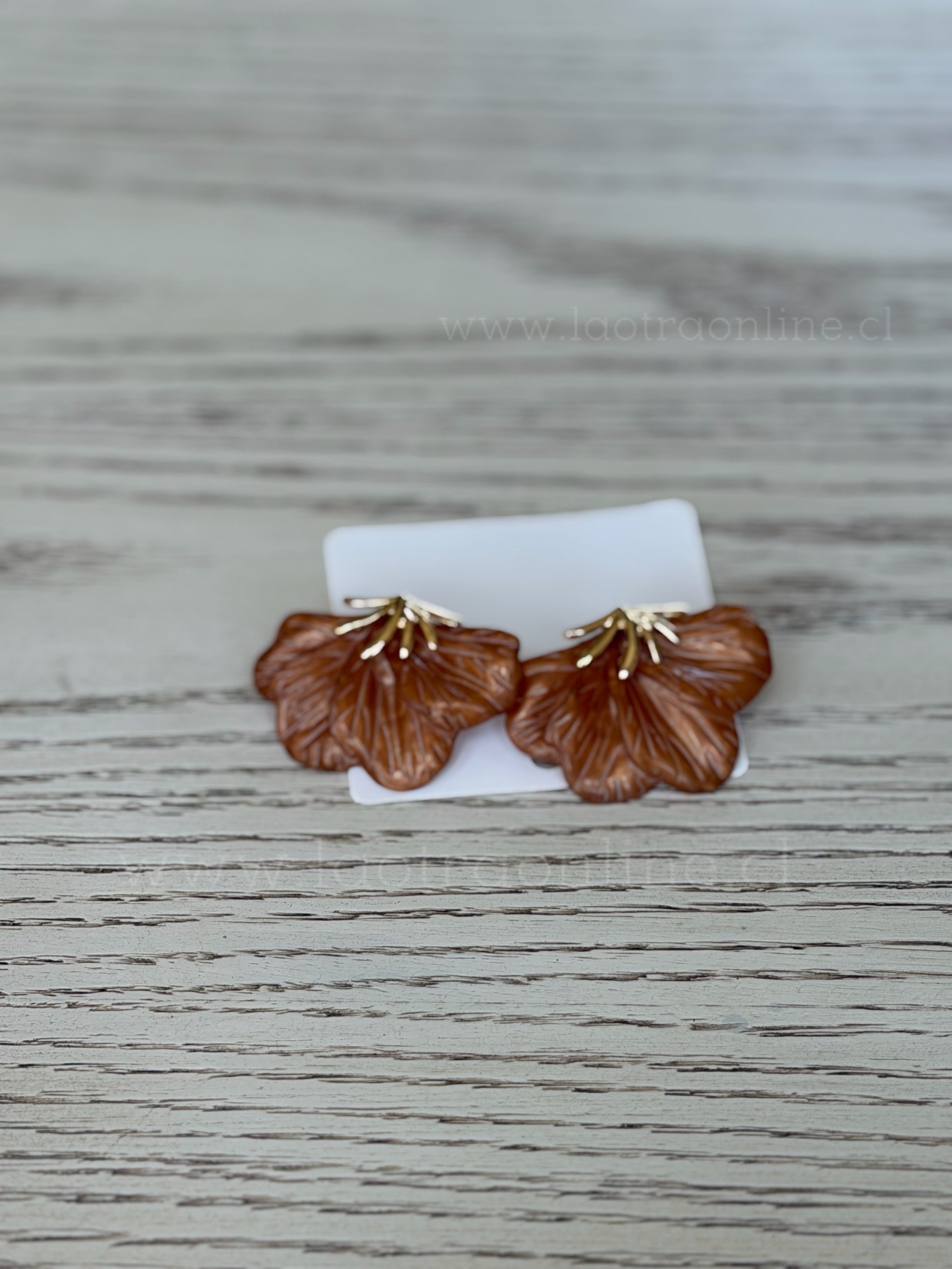 Aros increible marrón