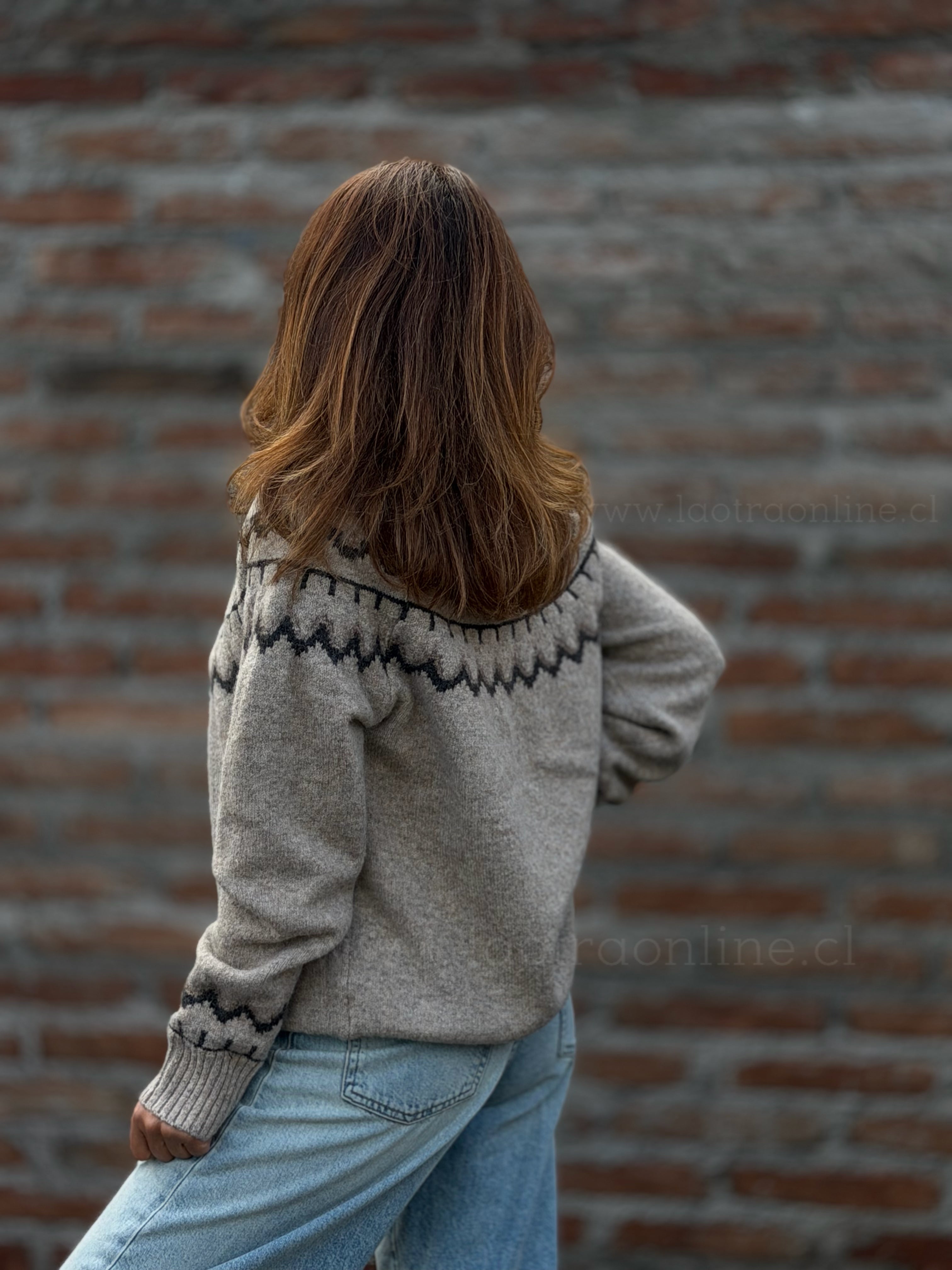 Sweater Canadá arena