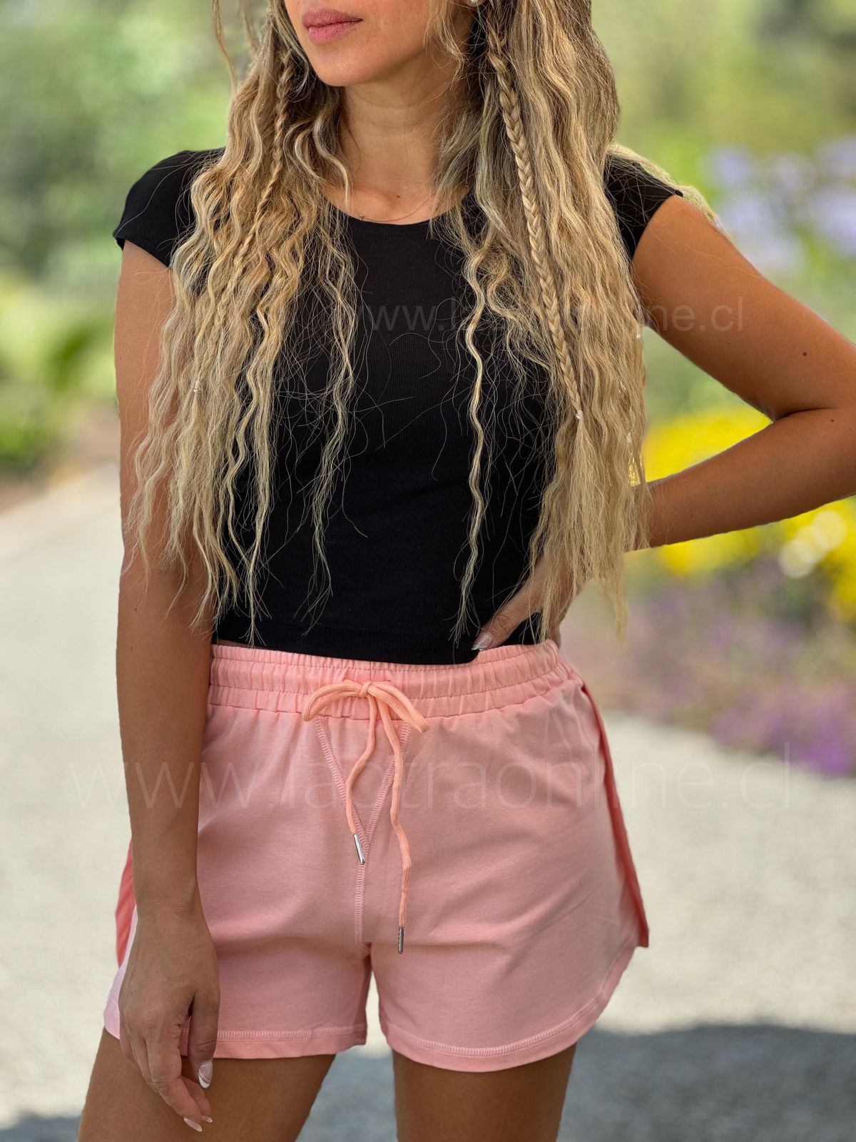 Short Polonia rosa