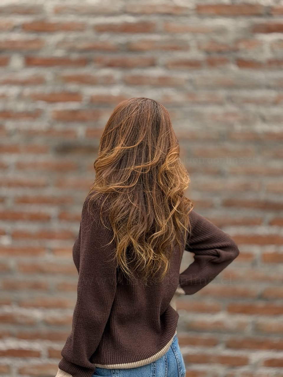 Sweater Bicolor marrón