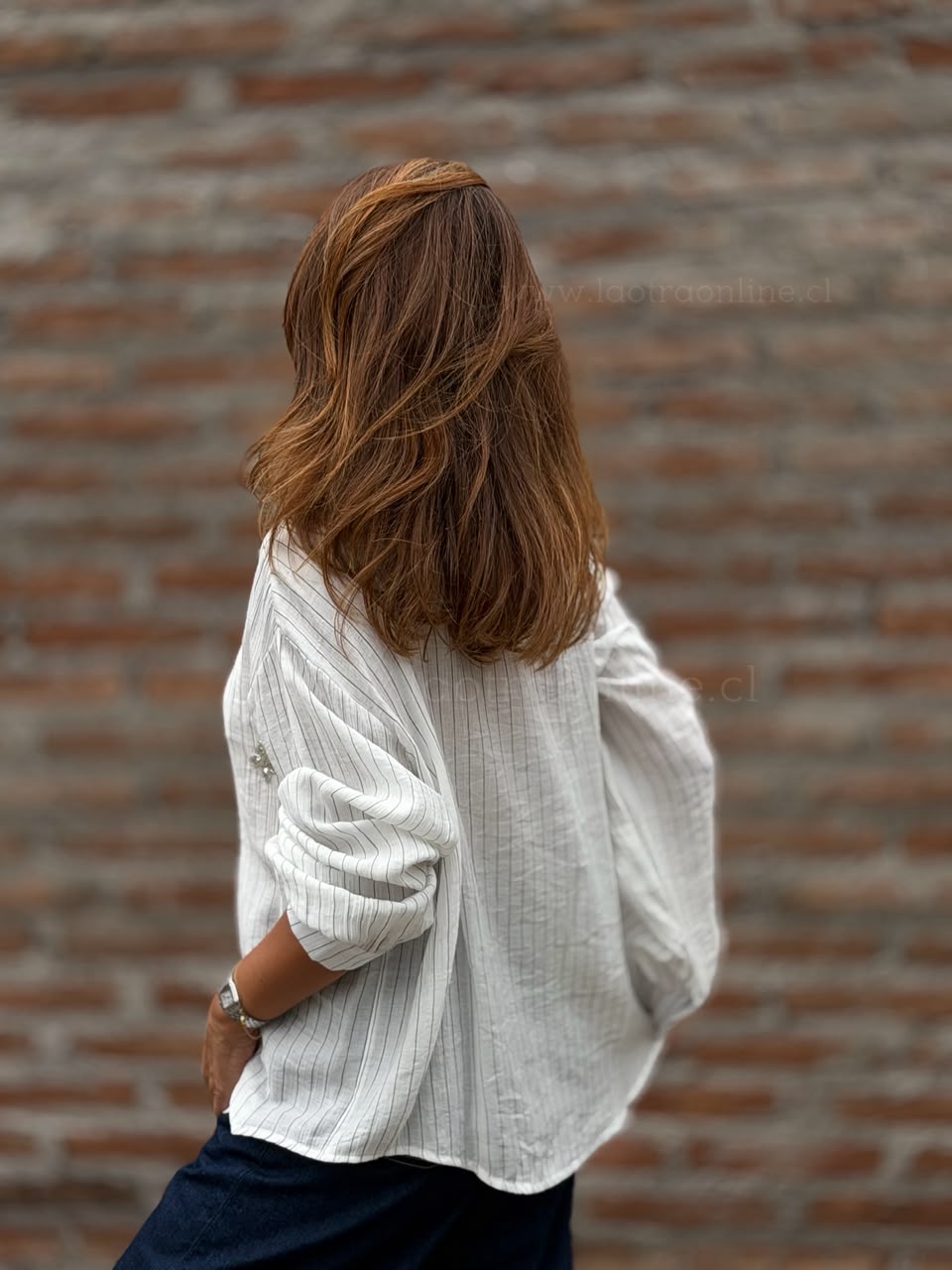 Blusa Mariposa plata