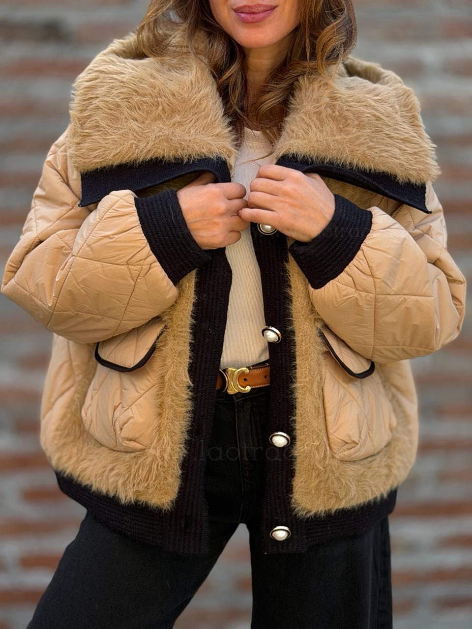 Parca Rivadavia camel
