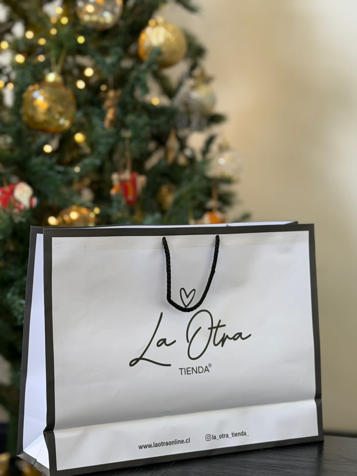 Bolsa regalo grande