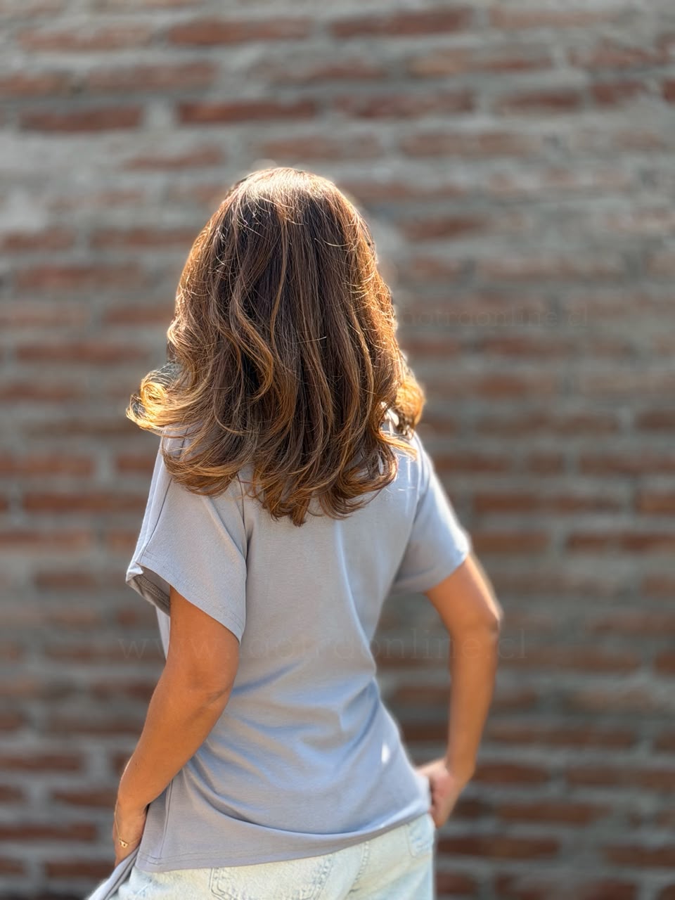 Polera Azalea gris