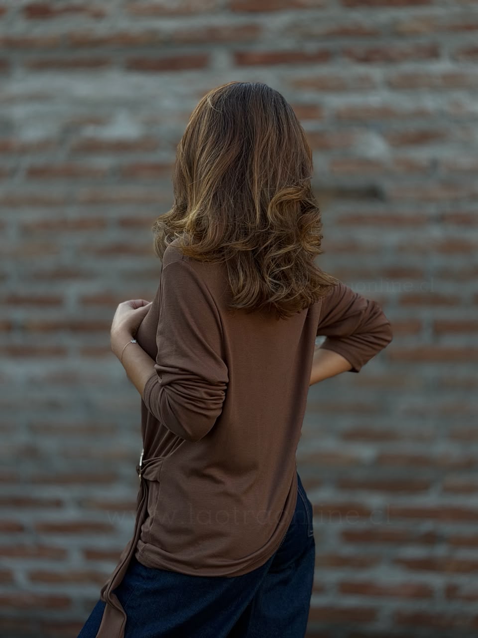 Polera Broche marrón