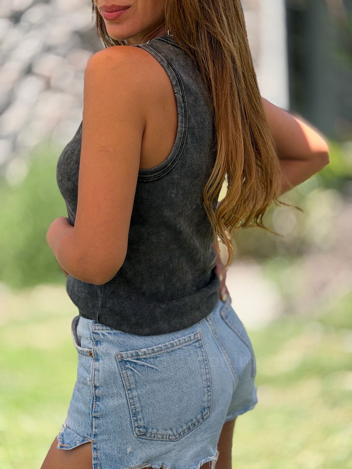 Básica Molly marengo