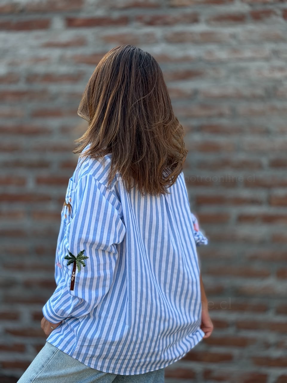 Blusa Rayas bordada celeste