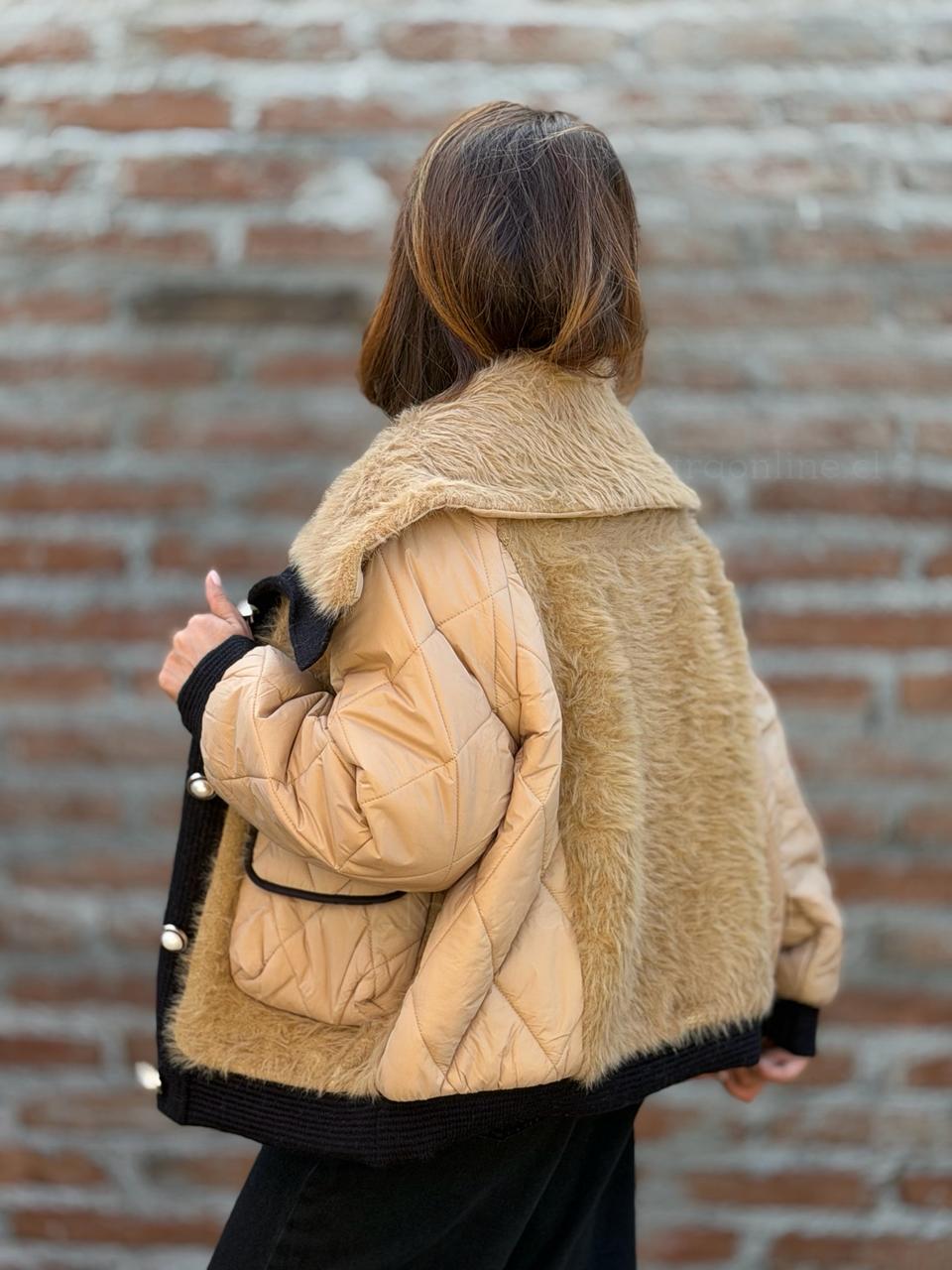 Parca Rivadavia camel