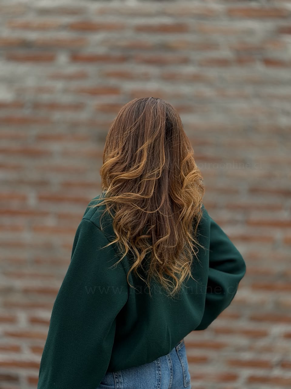 Chaqueta Globo paño forrado esmeralda