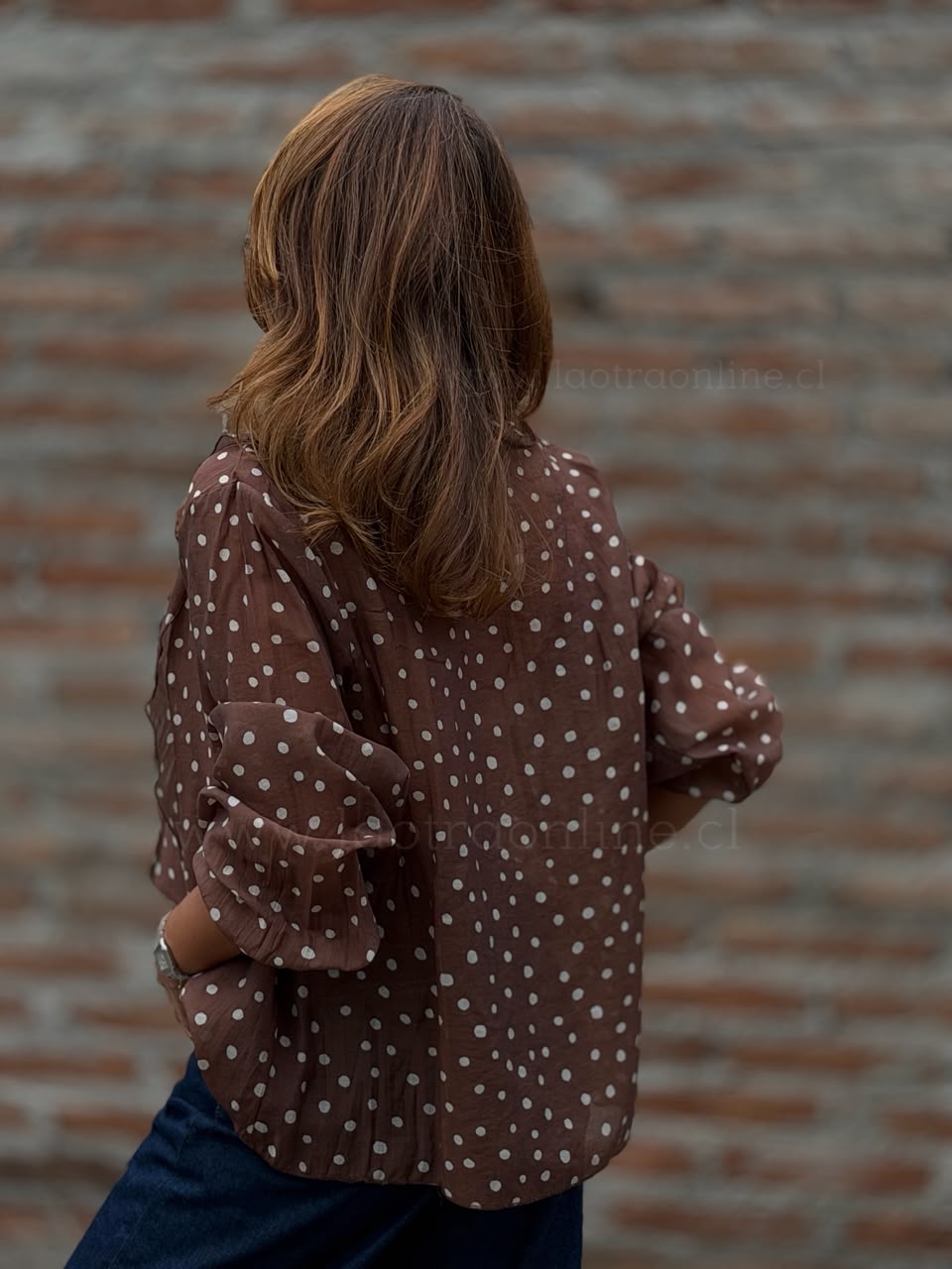 Blusa Vuelos Lunar marrón